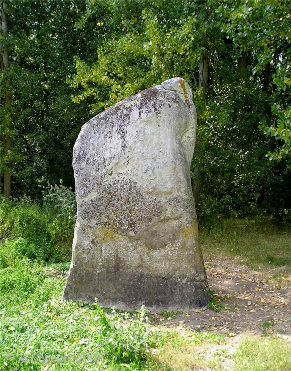 Pierre Fiche de Chacé