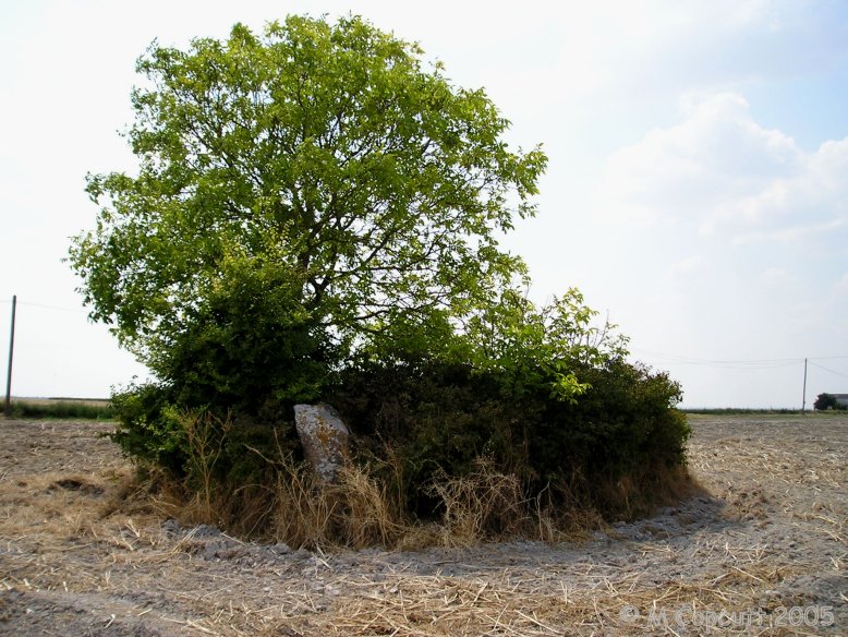 Dolmen du Griffier