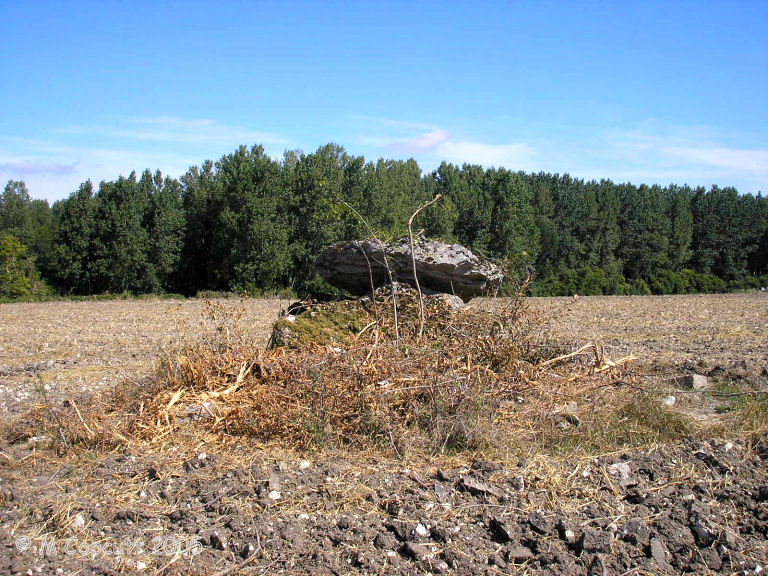 La Pierre Couverte de la Planche