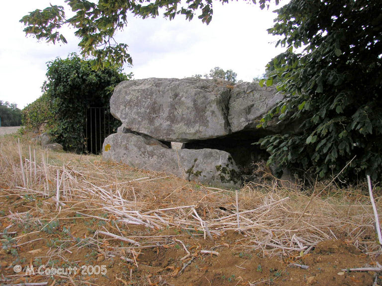Molieres dolmen