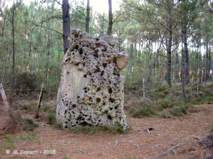 This menhir, in the forest to the northeast of La Fleche in Sarthe, is a slab standing on its end, between 2.5 and 3 metres tall, and 2 metres wide, with many holes on one side. 