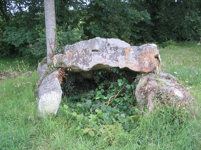 Dolmen de la Pierre Pétouse