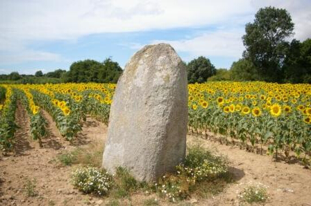 Menhir du Bois (Vendée)