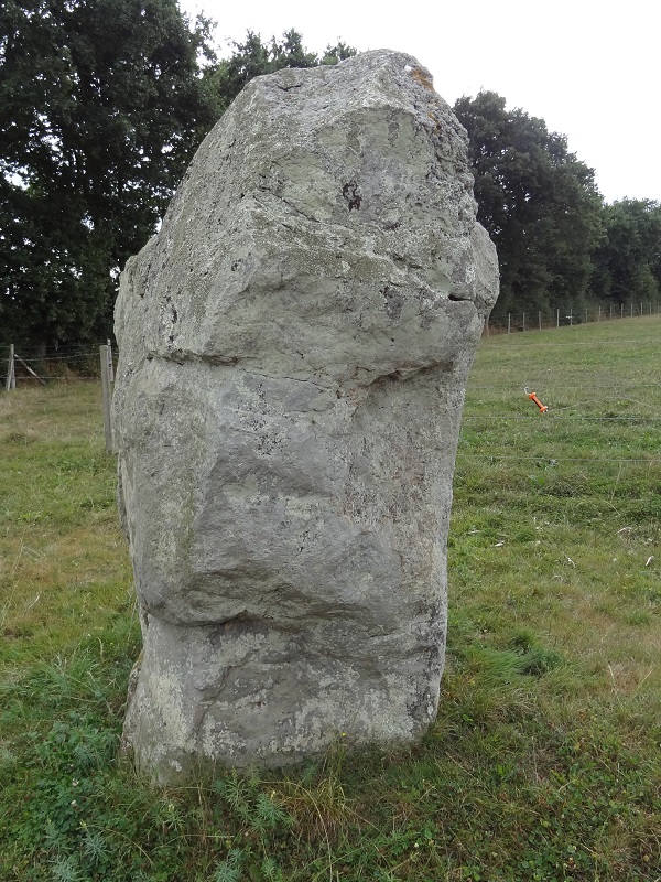 Petite Roche menhir