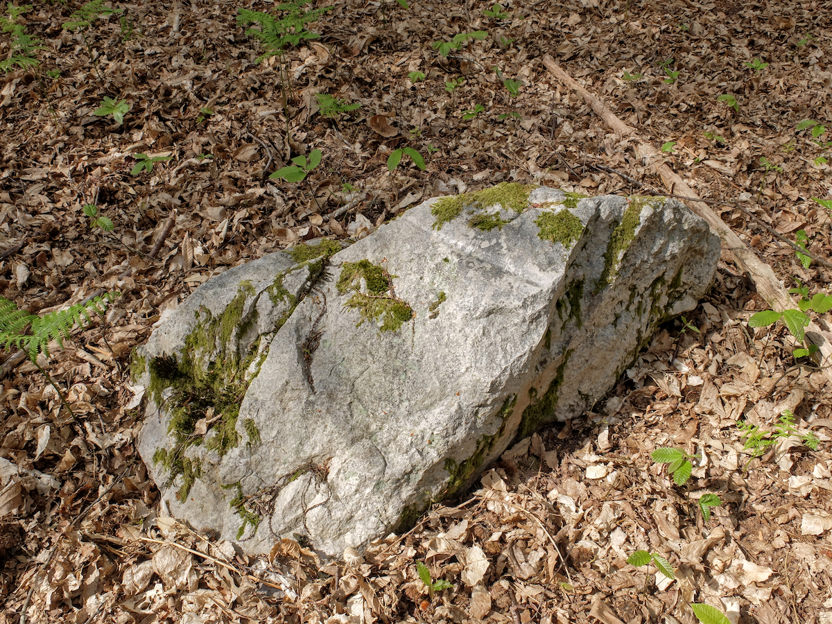 Polissoirs du Taillis du Vau du Bois