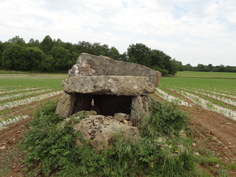 Click for the gallery page to add comments and vote (PID:178145) Dolmen de la Pierre-qui-Vire