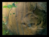 Dolmen de la Pagerie