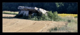 Click for full size image of Dolmen de la Pagerie (PID:244862) Dolmen de la Pagerie