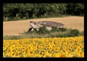 Dolmen de la Pagerie