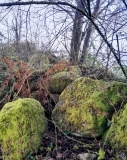 Sépultures de Rochard