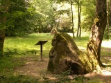 Deux Menhirs Prés Moreau