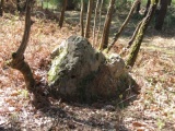 Menhir de la Délugrie - PID:166890