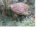 Dolmen dit la Pierre du Crapeau - PID:153737