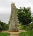 Menhirs du Plessis submitted by thecaptain