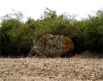 l'Accomodement Menhir
