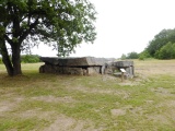 Bajouillière Dolmen