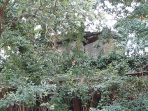 Le Petit Dolmen de Bagneux