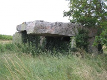 Dolmen de la Forêt (Gennes)