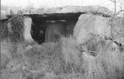 Dolmen du Bois du Feu