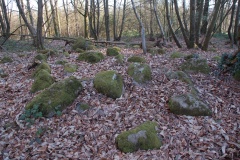 Allée Couverte du Bois de Broussault