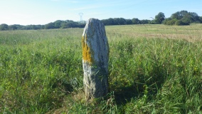 Menhir dit le Petit Rocher