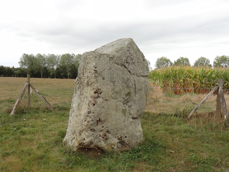 Petite Roche menhir (PID:178371) Petite Roche menhir