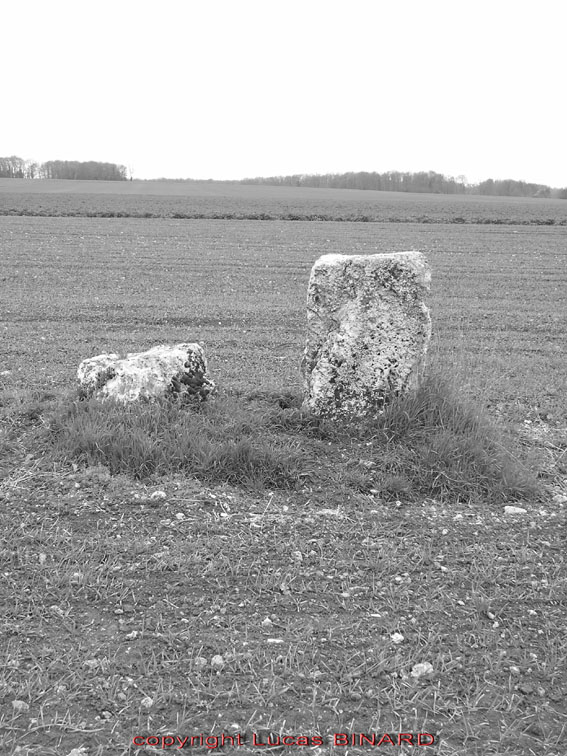 Menhir dit la Pierre Droite