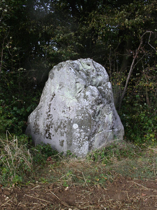 Pierre Fritte de Neuville-Bosc menhir on a top of a field we can see it from the road, this is a mystic stone it looks like a druid face on the other side of the picture. around 2 meters high and 1.5 large.