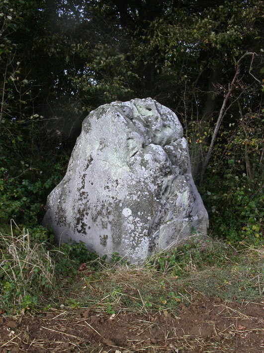 menhir on a top of a field we can see it from the road, this is a mystic stone it looks like a druid face on the other side of the picture. around 2 meters high and 1.5 large.
