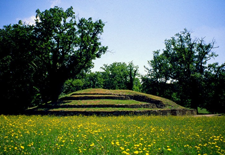 Click for the gallery page to add comments and vote (PID:15218) Bougon Tumulus A