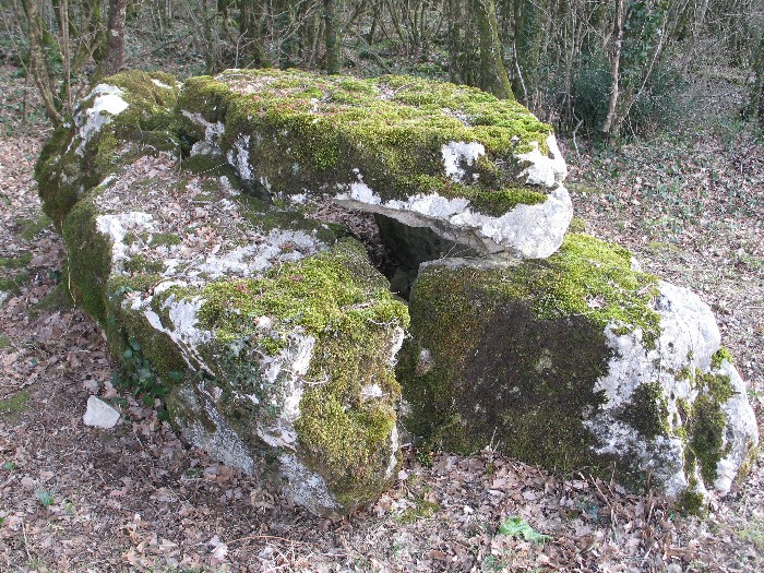 Dolmen des Grandes-Chaumes