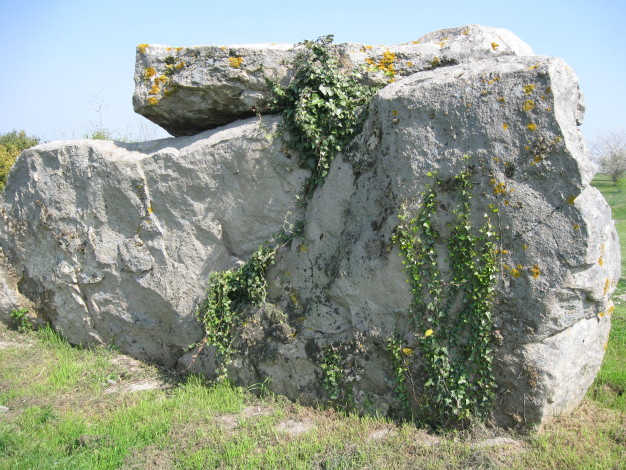 Dolmen de la Fontaine au Son 1