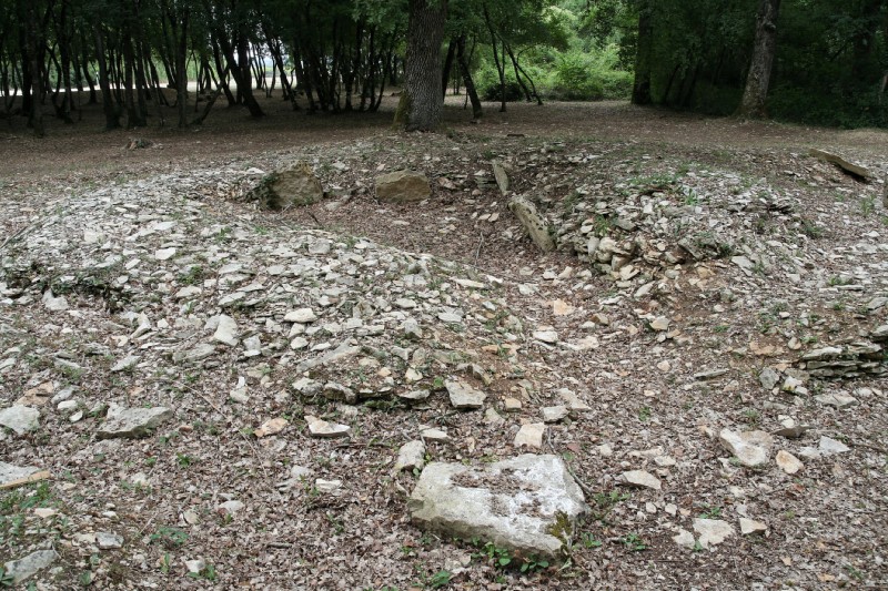 Nécropole de Champ-Chalon