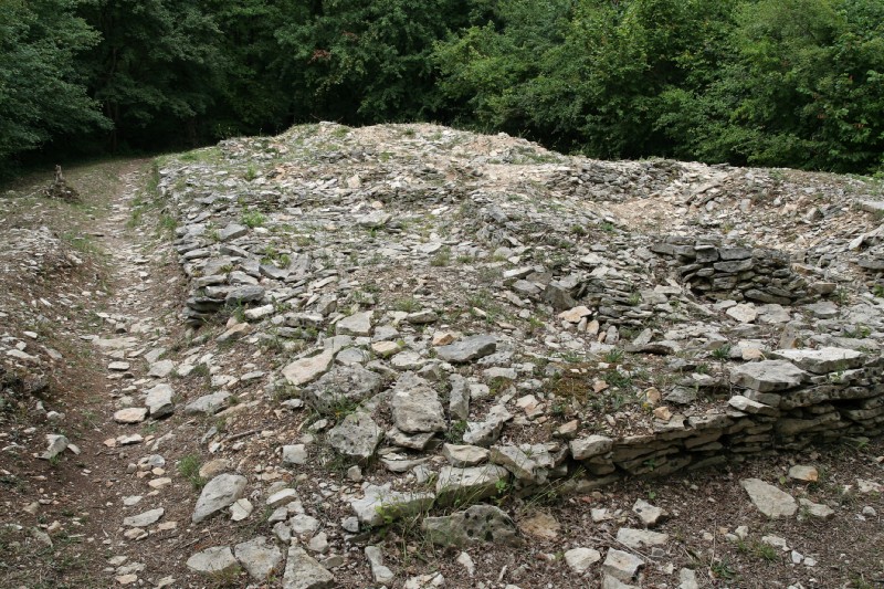 Nécropole de Champ-Chalon