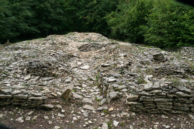 Nécropole de Champ-Chalon