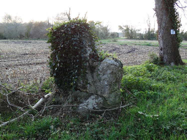 Another standing stone in Charente, le Menhir de Chillé.