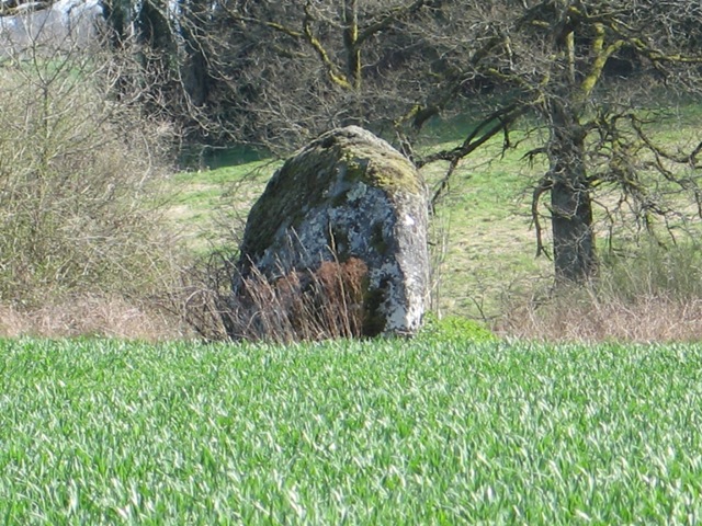 Menhirs La Vallade