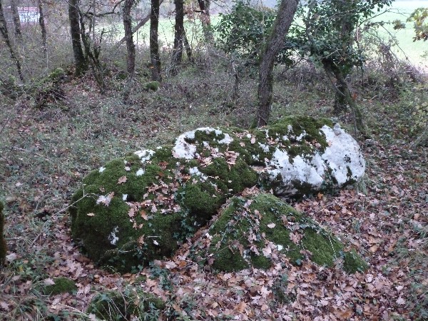 Menhir des Chaumes de Fayolle