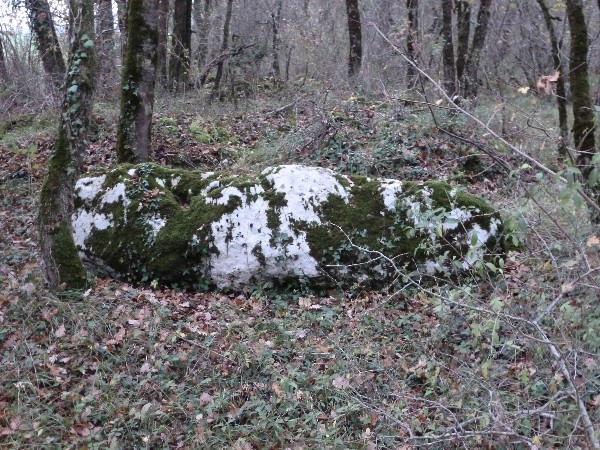 Menhir des Chaumes de Fayolle