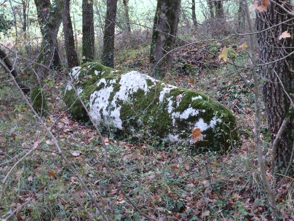 Menhir des Chaumes de Fayolle
