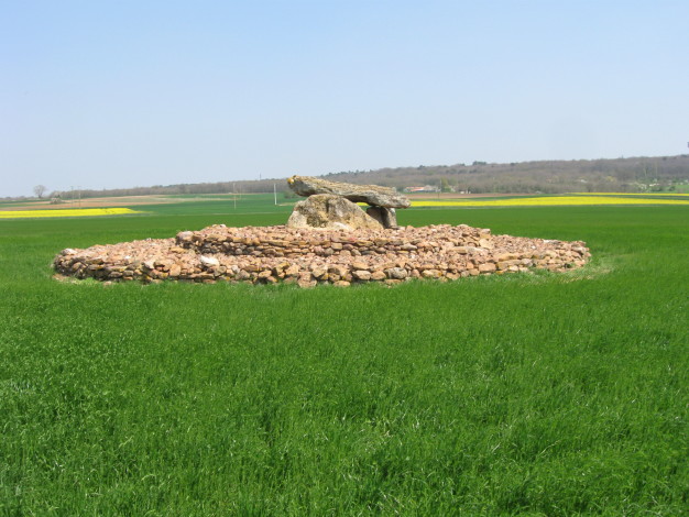 Monpalais dolmen 1