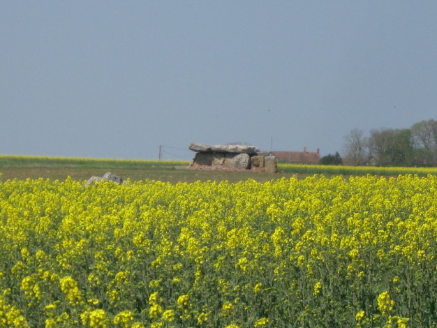 Monpalais dolmen 4