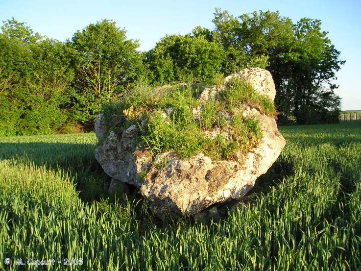 Click for the gallery page to add comments and vote (PID:17816) Dolmen de La Pierre Blanche à Bessé 1