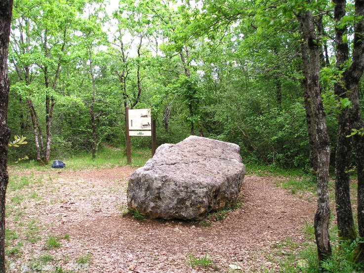 Dolmen dit la Pierre du Sacrifice (Boixe)