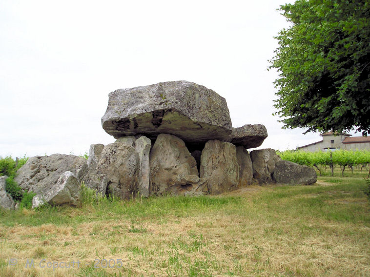 The allée-couverte part is massive, with a double chamber internally measuring 8 metres long, 1.5 metres wide and up to 2 metres high, facing east at 080°. The big capstone at the west end is 3 metres off the ground, 1.5 metres thick and is estimated to weigh 30 tonnes.