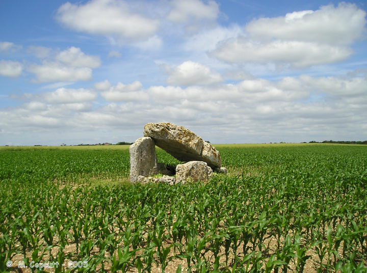 Dolmen dit la Pierre Fouquerée