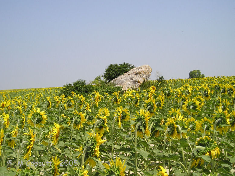 La Pierre Crapaud