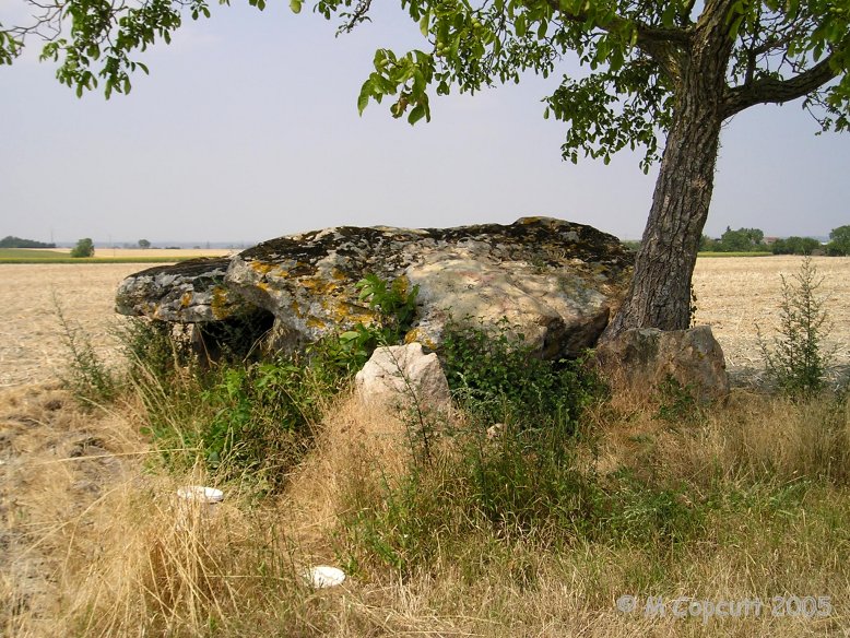 The Dolmen de Vaon is a fairly complete Angevin dolmen with a main chamber fronted at the east end by its entrance porch. The two capstones of the main chamber are still in place, although the roofstone of the entrance has fallen. 