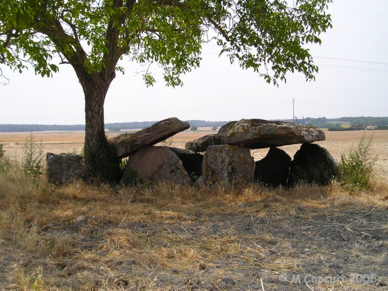The Dolmen de Vaon is a fairly complete Angevin dolmen with a main chamber fronted at the east end by its entrance porch. The two capstones of the main chamber are still in place, although the roofstone of the entrance has fallen. 