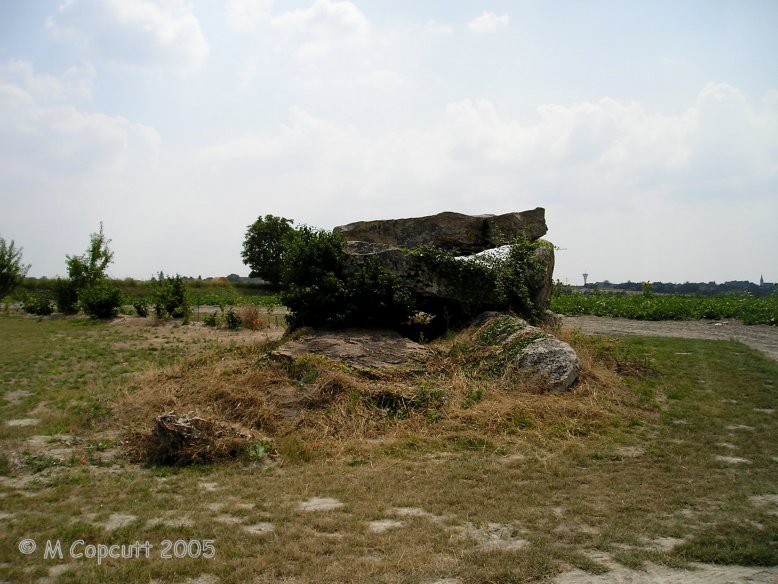 The western Fontaines de Son  dolmen is the bigger of the two, and in a bit better condition.

It seems to have a north south oriented chamber, with two capstones surviving, covering the southern part of the 8 metre long chamber. The northern end has collapsed. It is difficult to tell where the entrance would have been. 